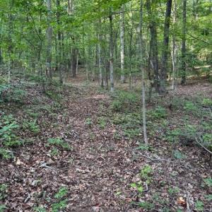 Photo #5 of Lockhart, Landrum, SC