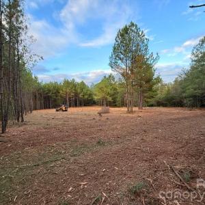 Photo #2 of Steen, Mount Croghan, SC