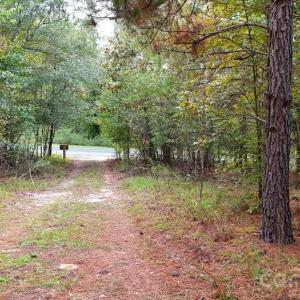 Photo #9 of Steen, Mount Croghan, SC