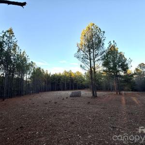 Photo #14 of Steen, Mount Croghan, SC