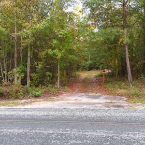 Photo #8 of Steen, Mount Croghan, SC