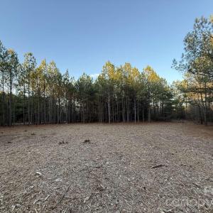 Photo #15 of Steen, Mount Croghan, SC