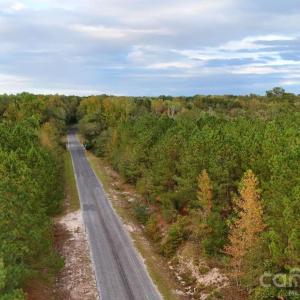 Photo #13 of Steen, Mount Croghan, SC