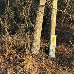 Photo #16 of Steen, Mount Croghan, SC