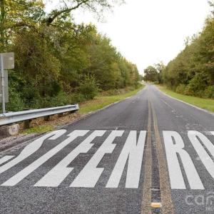 Photo #18 of Steen, Mount Croghan, SC