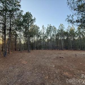 Photo #12 of Steen, Mount Croghan, SC