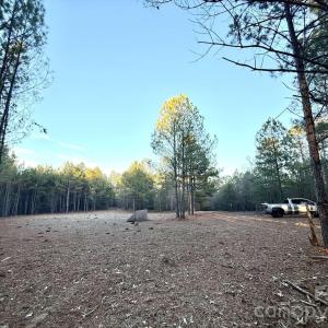 Photo #10 of Steen, Mount Croghan, SC