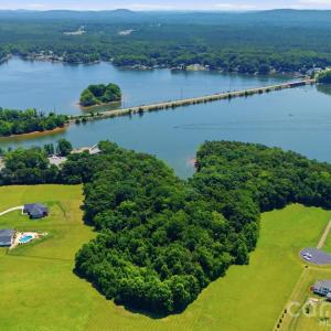 Photo #5 of Scout, Lexington, NC