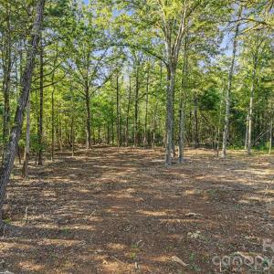 Photo #8 of Pathway, Chester, SC