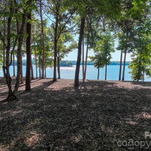 Photo #8 of 163 Flint Ridge, New London, NC
