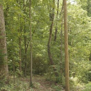 Photo #5 of Overhill, Monroe, NC