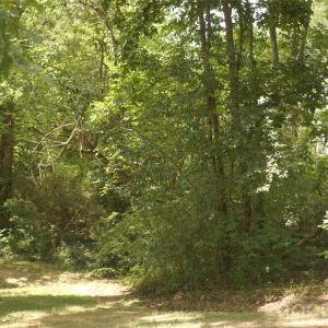Photo #4 of Overhill, Monroe, NC