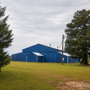 Photo #16 of 121 Athens School, Gaston, SC