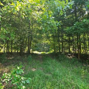 Photo #1 of 16.70ac Providence, Waxhaw, NC