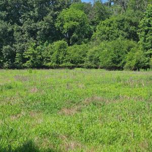 Photo #2 of 16.70ac Providence, Waxhaw, NC