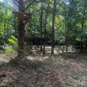 Photo #3 of 10376 Turnplow, Davidson, NC