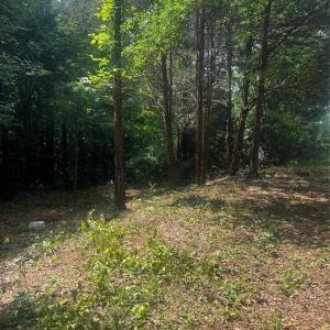 Photo #11 of 10376 Turnplow, Davidson, NC