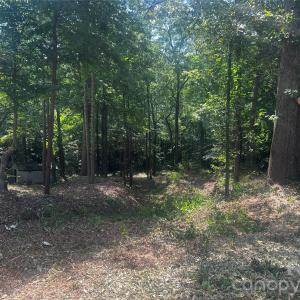 Photo #8 of 10376 Turnplow, Davidson, NC