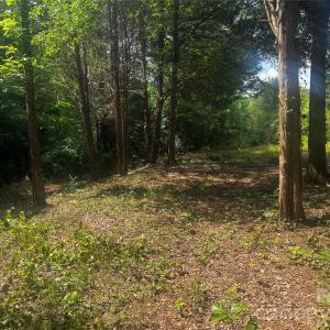 Photo #5 of 10376 Turnplow, Davidson, NC