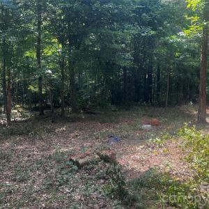 Photo #6 of 10376 Turnplow, Davidson, NC