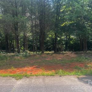 Photo #1 of 10376 Turnplow, Davidson, NC