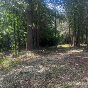 Photo #4 of 10376 Turnplow, Davidson, NC
