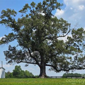 Photo #18 of Highway 161, York, SC