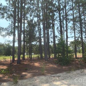 Photo #19 of 809 Campbell, Jefferson, SC