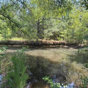 Photo #5 of 809 Campbell, Jefferson, SC
