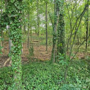 Photo #32 of 3904 Lucy Shortcut, Marshville, NC