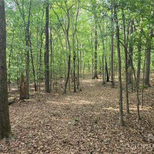 Photo #45 of 3904 Lucy Shortcut, Marshville, NC