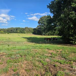 Photo #28 of 3904 Lucy Shortcut, Marshville, NC