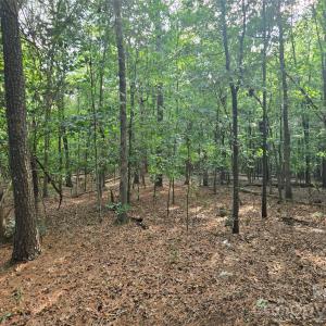 Photo #42 of 3904 Lucy Shortcut, Marshville, NC
