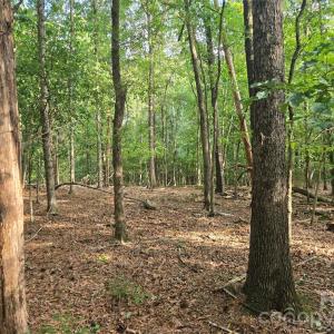 Photo #44 of 3904 Lucy Shortcut, Marshville, NC