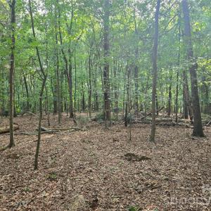 Photo #43 of 3904 Lucy Shortcut, Marshville, NC