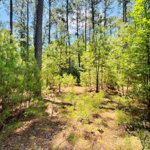 Photo #19 of 5326 Judson, Clio, SC
