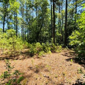 Photo #21 of 5326 Judson, Clio, SC