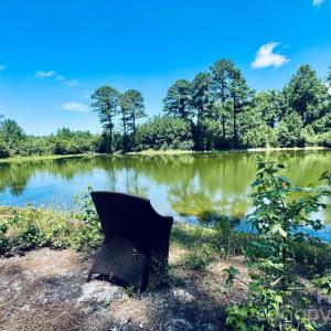Photo #34 of 5326 Judson, Clio, SC