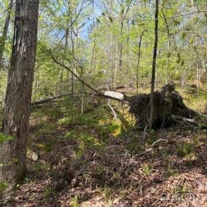 Photo #7 of 21 AC Sweet Hope Church, Carlisle, SC