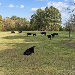 Photo #10 of 0-c US Highway 311, Archdale, NC