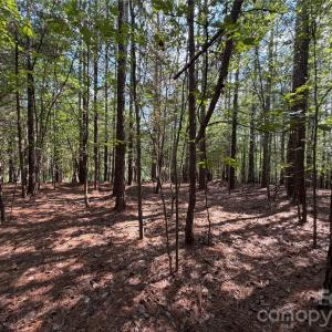 Photo #12 of 9212 Rustic Creek, Waxhaw, NC