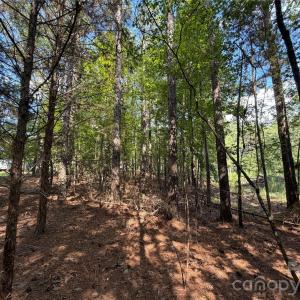 Photo #33 of 9212 Rustic Creek, Waxhaw, NC