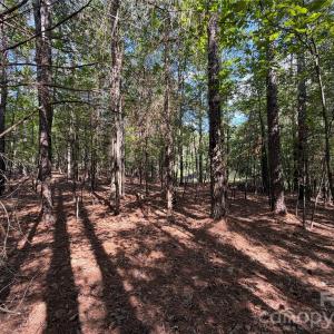 Photo #10 of 9212 Rustic Creek, Waxhaw, NC