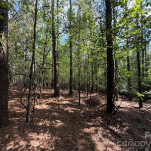 Photo #15 of 9212 Rustic Creek, Waxhaw, NC