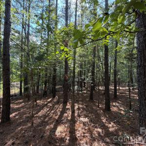 Photo #6 of 9212 Rustic Creek, Waxhaw, NC