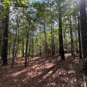 Photo #35 of 9212 Rustic Creek, Waxhaw, NC