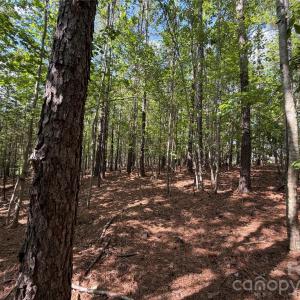 Photo #19 of 9212 Rustic Creek, Waxhaw, NC