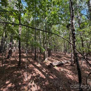Photo #14 of 9212 Rustic Creek, Waxhaw, NC