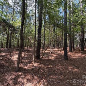 Photo #29 of 9212 Rustic Creek, Waxhaw, NC