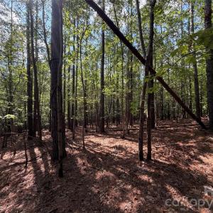 Photo #23 of 9212 Rustic Creek, Waxhaw, NC